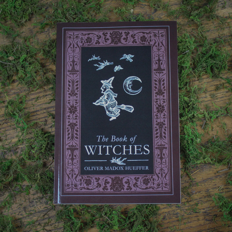 The Book of Witches