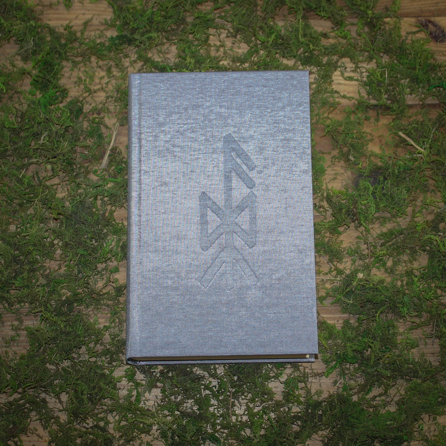 The Search for Óðinn: From Pontic Steppe to Sutton Hoo (Hardcover)