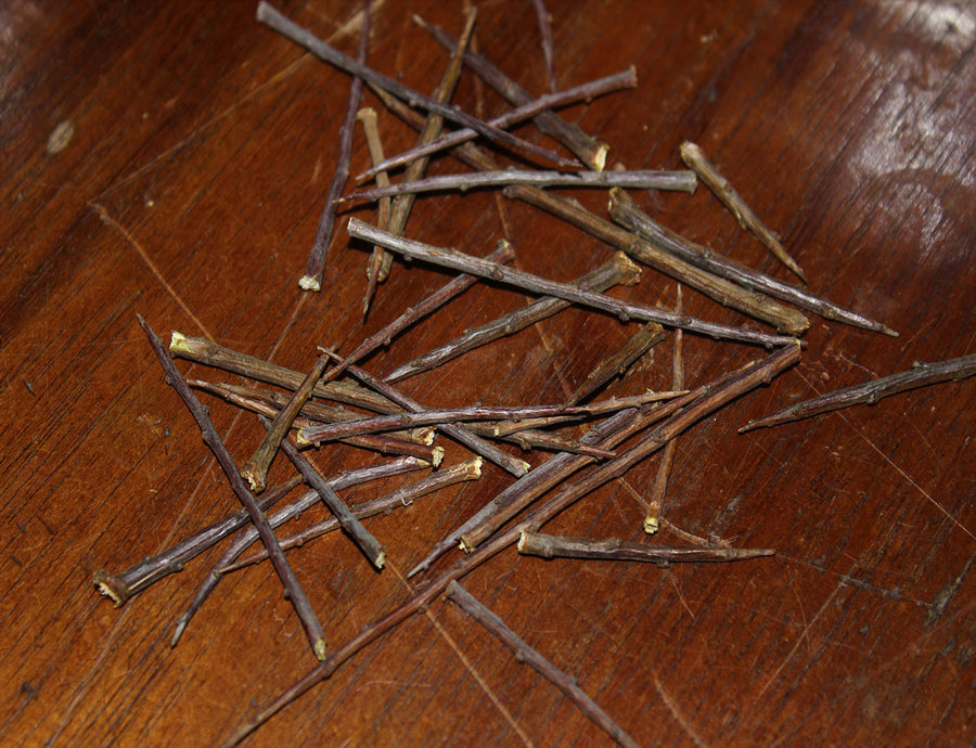 Blackthorn Thorns